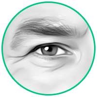 drawing and retouching of Eyes and Eyebrows