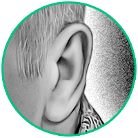 processing of the ears on the picture
